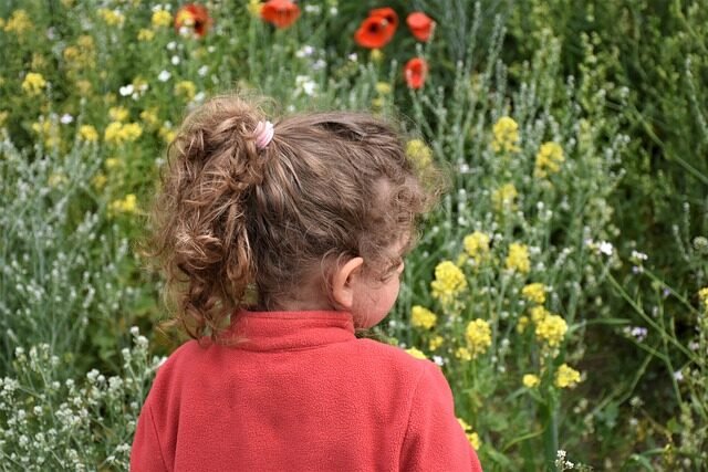 Entorno personal de aprendizaje (PLE): beneficios y más 6 Entorno personal de aprendizaje (PLE): beneficios y más